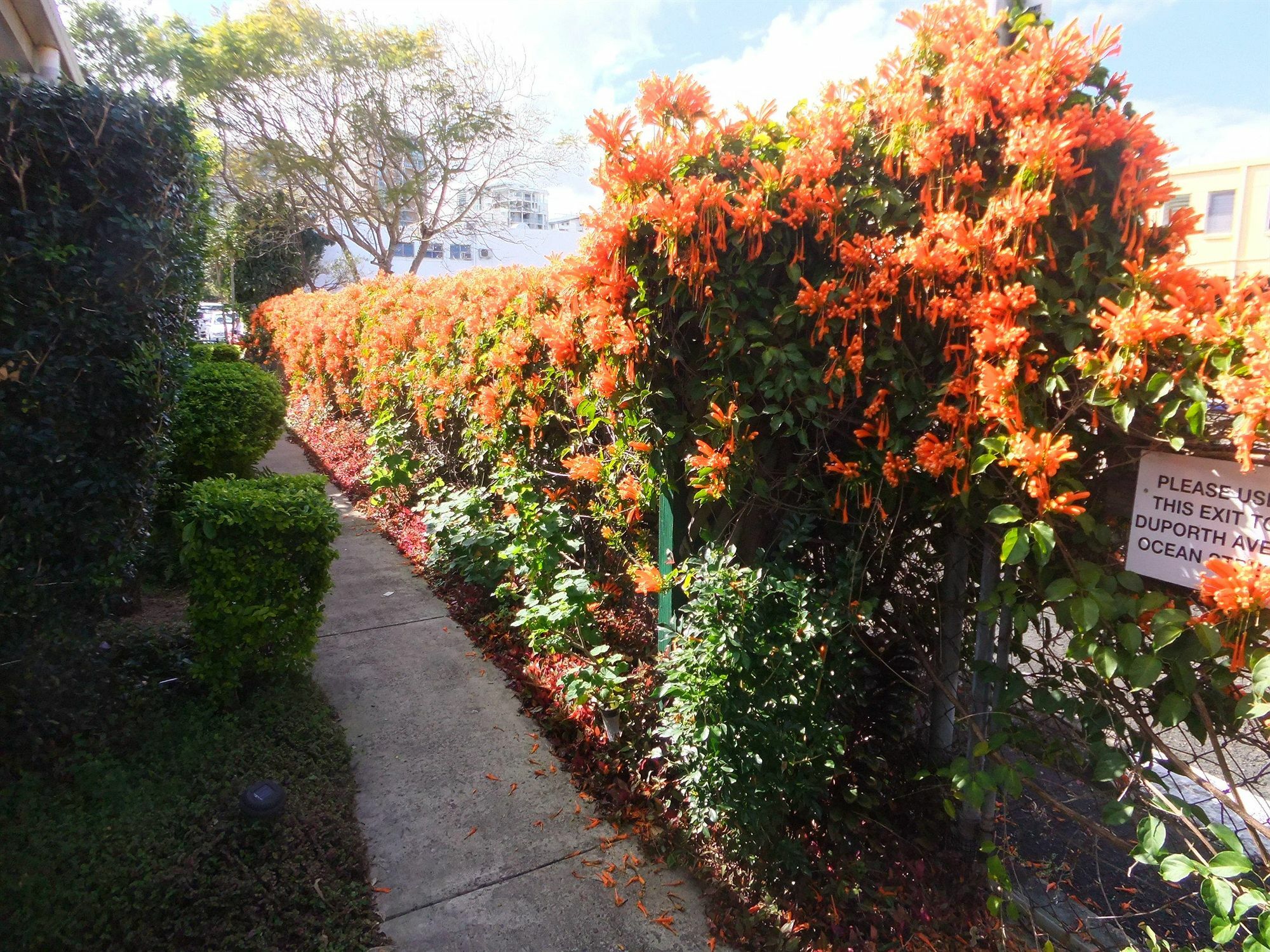 Top Spot Motel Maroochydore Exterior photo